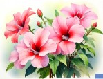 花期长的花有哪些品种