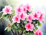 日本最名贵杜鹃花品种