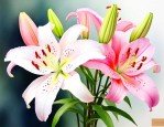 百合花的花可以食用吗
