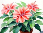 菩提花适合在室内养吗