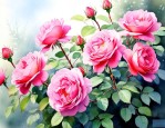 蔷薇花是什么季节开的