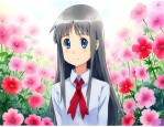 未闻花名电影在哪里看