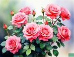 月季花养殖方法与技巧