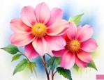什么花的花语代表友情