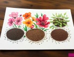 哪里可以买到花的种子