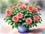 2025年最好养的花有哪些
