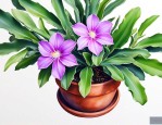紫玄月佛珠吊兰怎样养