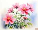 三月份开的花是什么花