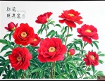 红花价格是多少钱一斤
