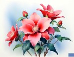 十二月代表花是什么花