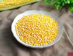 玉米种子839怎么样
