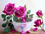 干玫瑰花泡水会掉色吗
