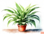 室内容易养的花草