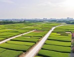 2025年江夏安山苗圃基地