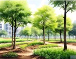 城市绿化苗木品种大全