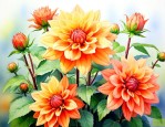 重瓣太阳花的花语和寓意
