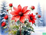 冬季能开花的花卉大全