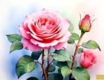 月季花开放时间是几点