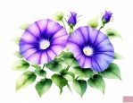牵牛花什么季节开花颜色是什么形状像什么