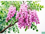 槐树现在开花怎么回事