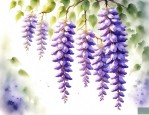 紫藤花那里买得到