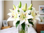 香水百合花能放卧室吗