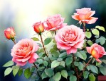 月季花是什么时候开花