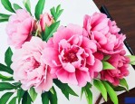 洛神花喝了起什么作用