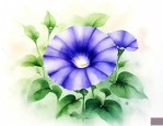 牵牛花的习性是什么牵牛花的习性是什么