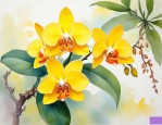 2025年黄色蝴蝶兰的花语