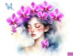 蝴蝶兰比喻什么样的人