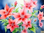 开五角星的花是什么花