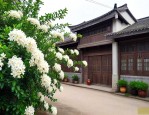 九里香酒厂地址在哪里