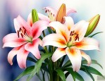 送人百合花意义是什么