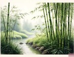 早园竹和四季竹哪个好