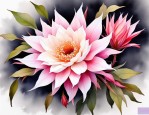 2025年昙花花语悲伤的花