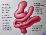 2025年肛肠镜大概多少钱