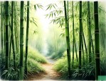 竹子是乔木吗还是灌木