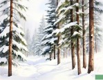 雪松张劲个人资料简介