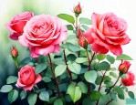月季花繁殖方法和时间