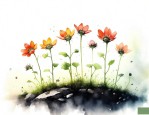 野花种子几天发芽