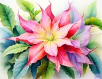 曼陀罗花是什么颜色的