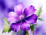 紫色带刺的花是什么花