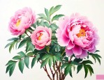 牡丹花可以插枝种植吗