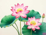 荷花怎样插花活得更久