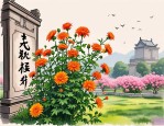 2025年扫墓买什么花合适