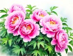 牡丹花在广东能养活吗