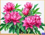 洛神花可以和什么搭配