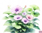 我的植物朋友牵牛花作文三年级300字