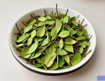 2025年白花蛇舌草怎么喝